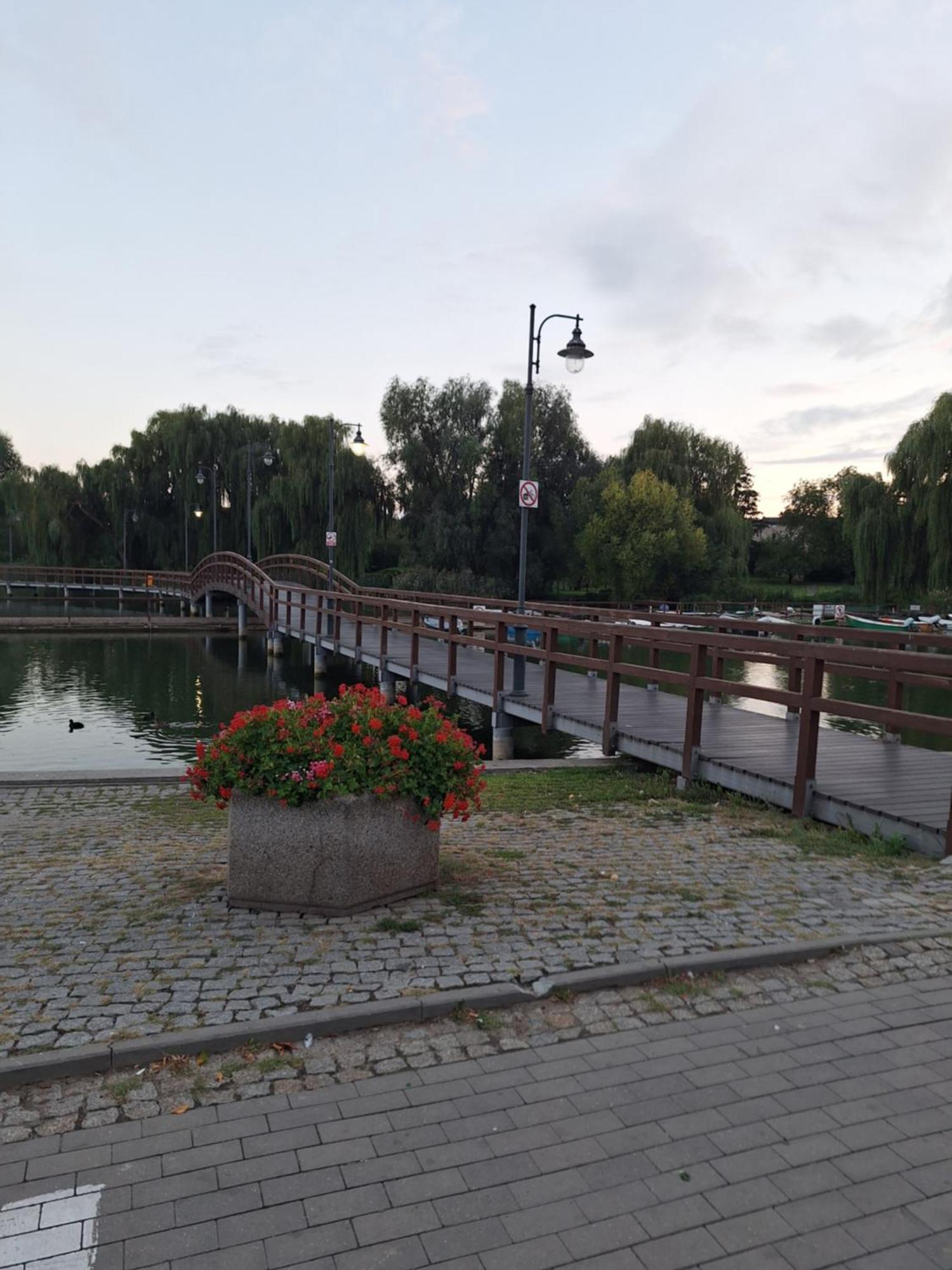 Apartament Chełmża Eksteriør bilde